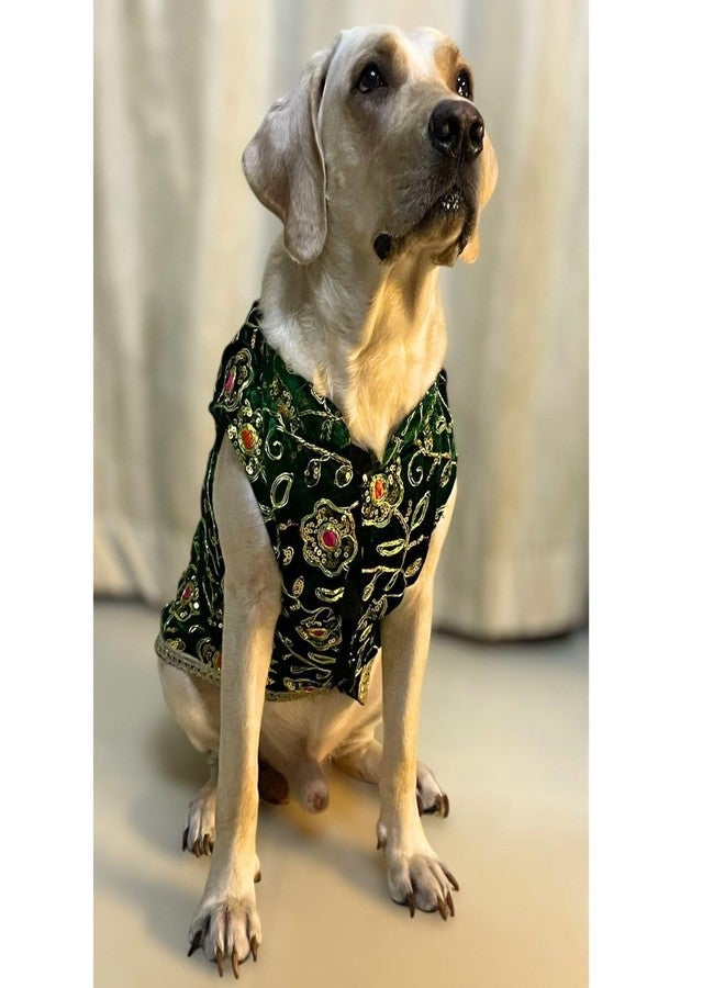 Lulala Festive Dog Sherwani in Green Velvet - Heavily Embroidered Ethnic Outfit for Dogs | Traditional Indian Pet Clothing for Weddings, Diwali and Parties for Dogs - Image 4